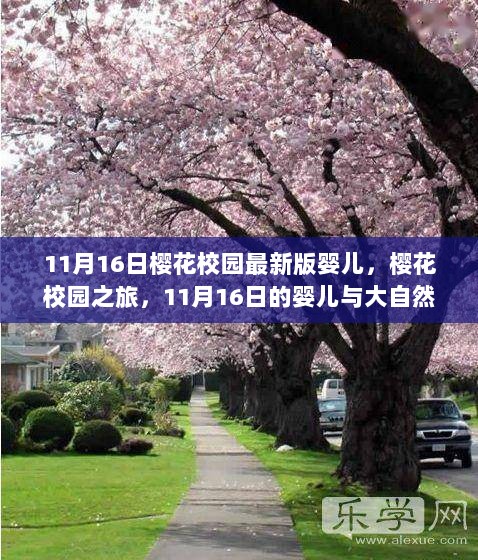 11月16日樱花校园婴儿与大自然的治愈力量之旅