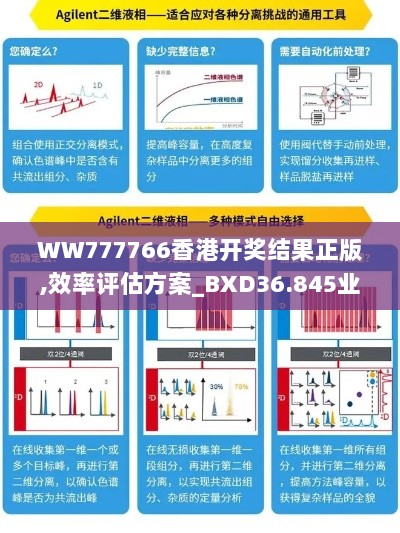 WW777766香港开奖结果正版,效率评估方案_BXD36.845业界版