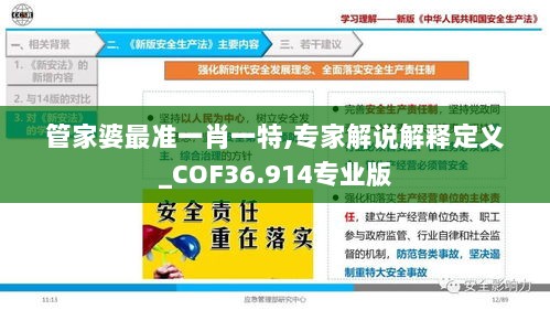 管家婆最准一肖一特,专家解说解释定义_COF36.914专业版