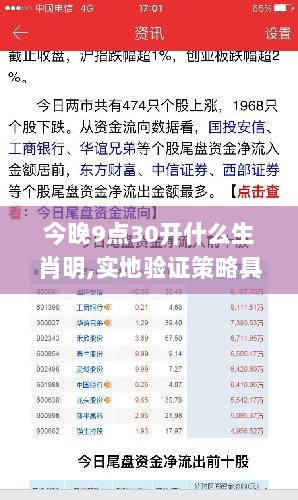 今晚9点30开什么生肖明,实地验证策略具体_EWA36.777家庭影院版