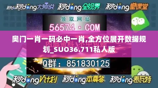 奥门一肖一码必中一肖,全方位展开数据规划_SUO36.711私人版