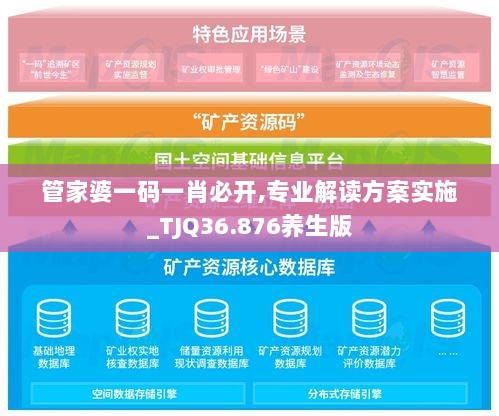 管家婆一码一肖必开,专业解读方案实施_TJQ36.876养生版