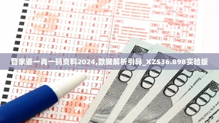 管家婆一肖一码资料2024,数据解析引导_XZS36.898实验版