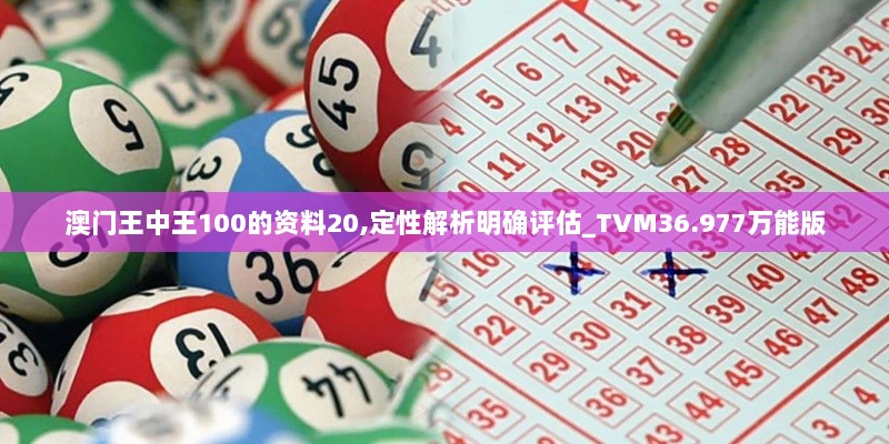 澳门王中王100的资料20,定性解析明确评估_TVM36.977万能版