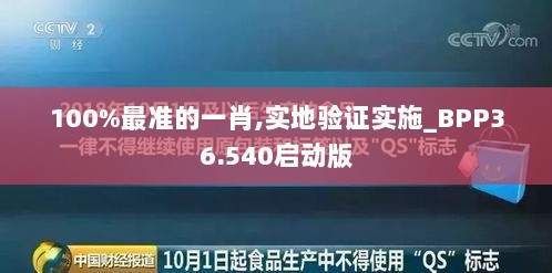 100%最准的一肖,实地验证实施_BPP36.540启动版