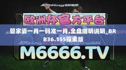 管家婆一肖一码准一肖,全盘细明说明_BRB36.155探索版