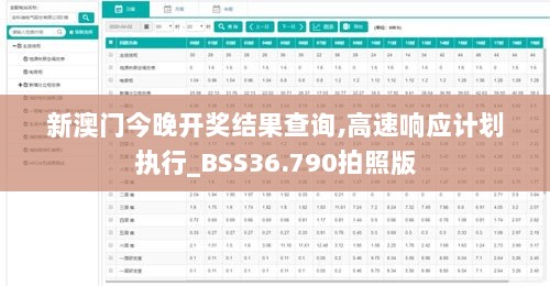 新澳门今晚开奖结果查询,高速响应计划执行_BSS36.790拍照版