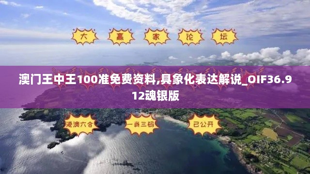 澳门王中王100准免费资料,具象化表达解说_OIF36.912魂银版