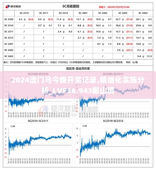 2024澳门马今晚开奖记录,精细化实施分析_LVF36.943搬山境