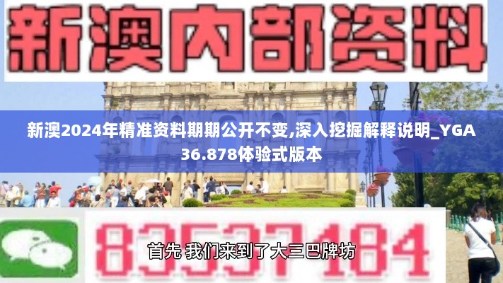 新澳2024年精准资料期期公开不变,深入挖掘解释说明_YGA36.878体验式版本