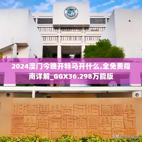 2024年11月16日 第95页