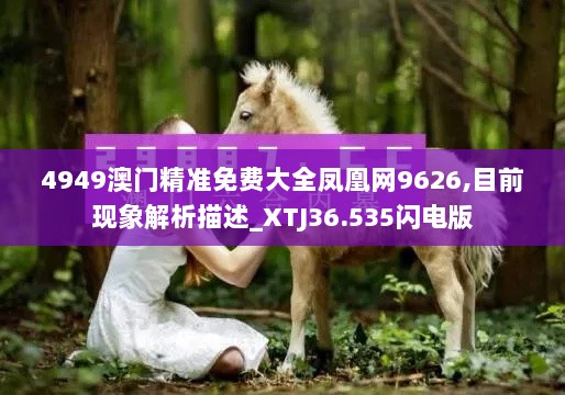 4949澳门精准免费大全凤凰网9626,目前现象解析描述_XTJ36.535闪电版