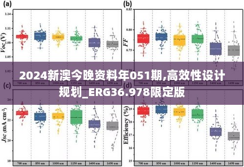 2024新澳今晚资料年051期,高效性设计规划_ERG36.978限定版