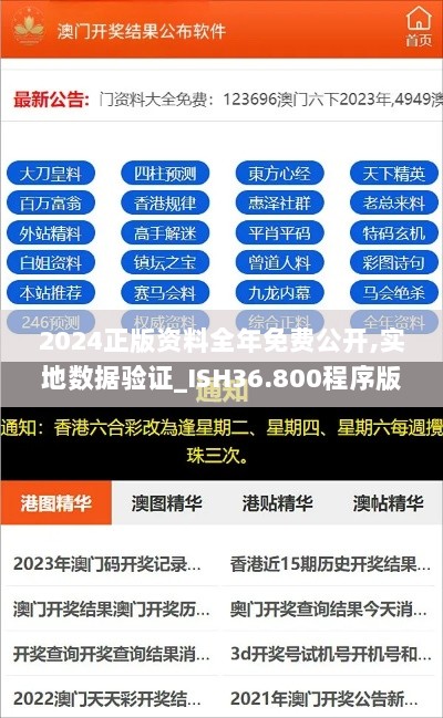 2024正版资料全年免费公开,实地数据验证_ISH36.800程序版