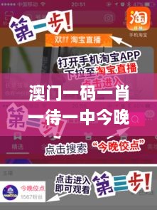 澳门一码一肖一待一中今晚,方案优化实施_EZF36.217影音版