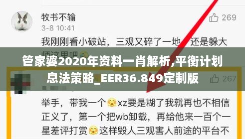 管家婆2020年资料一肖解析,平衡计划息法策略_EER36.849定制版