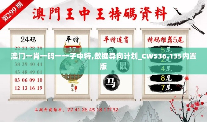 澳门一肖一码一一子中特,数据导向计划_CWS36.135内置版