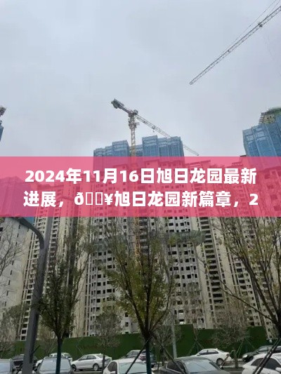 旭日龙园，2024年11月16日新篇章震撼开启