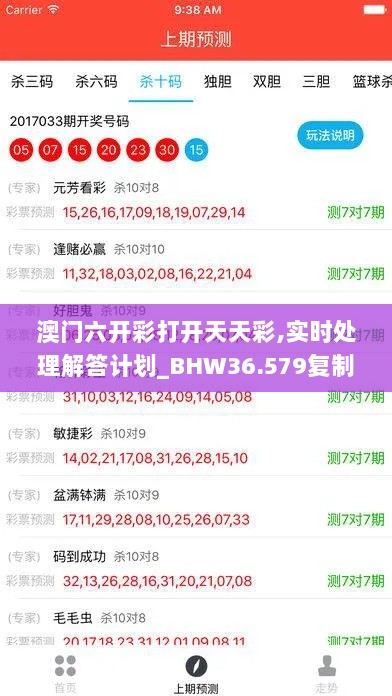 澳门六开彩打开天天彩,实时处理解答计划_BHW36.579复制版