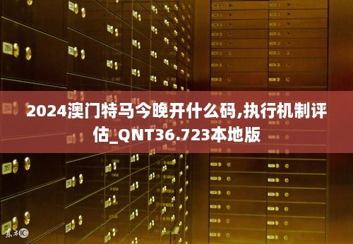 2024澳门特马今晚开什么码,执行机制评估_QNT36.723本地版