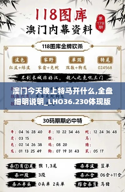 澳门今天晚上特马开什么,全盘细明说明_LHO36.230体现版