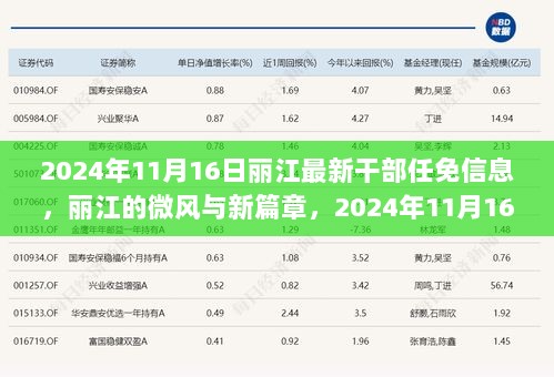 丽江新篇章，2024年11月16日干部任免信息与丽江的微风共绘新画卷