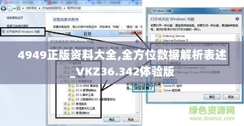 4949正版资料大全,全方位数据解析表述_VKZ36.342体验版