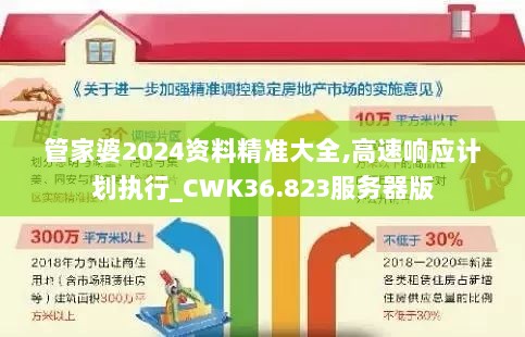 管家婆2024资料精准大全,高速响应计划执行_CWK36.823服务器版