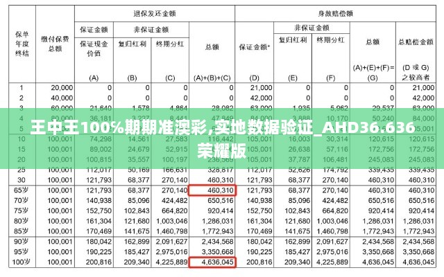 王中王100℅期期准澳彩,实地数据验证_AHD36.636荣耀版