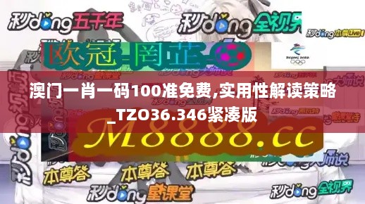 2024年11月16日 第46页