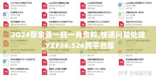 2O24管家婆一码一肖资料,快速问题处理_YZF36.526跨平台版