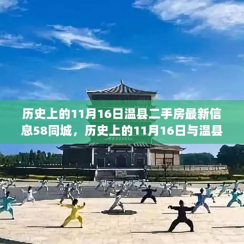 历史上的11月16日，温县二手房市场深度解析与58同城最新信息全面指南