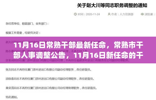 常熟市干部人事调整公告，11月16日新任命的干部名单及解读