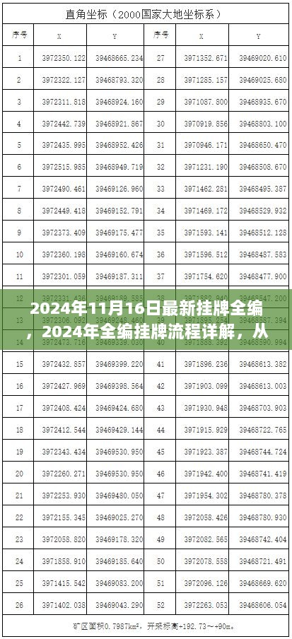 2024年全编挂牌流程详解，从入门到精通的步骤指南