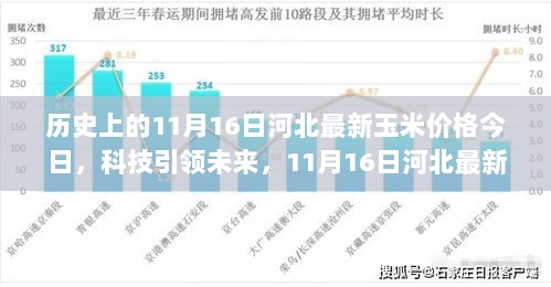 11月16日河北玉米价格智能分析仪，科技引领，体验新篇章的玉米价格变化