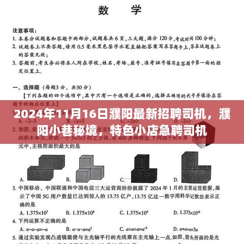 濮阳小巷特色小店急聘司机——2024年11月16日最新招聘信息