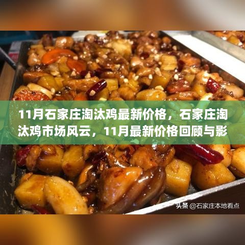 11月石家庄淘汰鸡市场价格回顾与影响分析