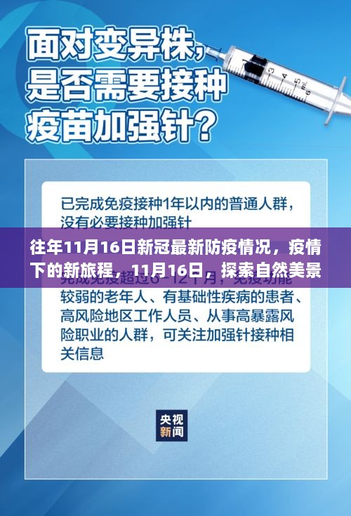 11月16日新冠防疫新动态，疫情下的新旅程与自然美景的探索之旅