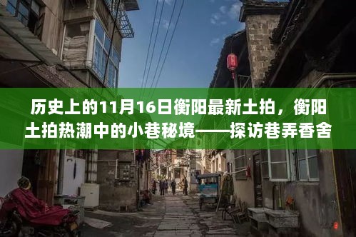 衡阳土拍热潮中的小巷秘境，11月16日土拍后的探访之旅