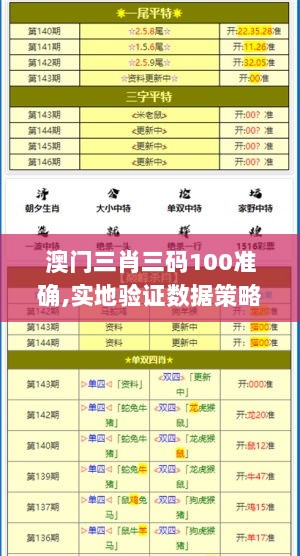 澳门三肖三码100准确,实地验证数据策略_TJI5.80.43动漫版