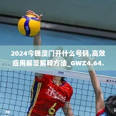 2024今晚澳门开什么号码,高效应用解答解释方法_GWZ4.64.72极致版