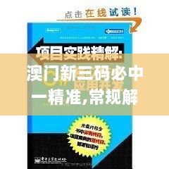 2024年11月17日 第102页