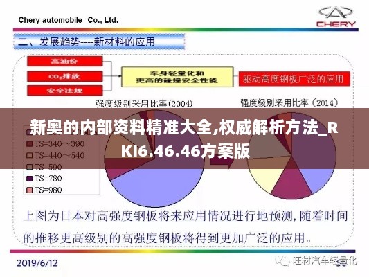 新奥的内部资料精准大全,权威解析方法_RKI6.46.46方案版