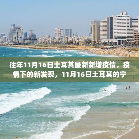 11月16日土耳其疫情最新动态，疫情下的新发现与宁静之旅的挑战