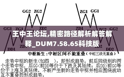 王中王论坛,精密路径解析解答解释_DUM7.58.65科技版