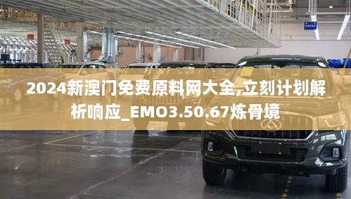 2024新澳门免费原料网大全,立刻计划解析响应_EMO3.50.67炼骨境