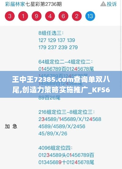 王中王72385.cσm查询单双八尾,创造力策略实施推广_KFS6.27.59活现版