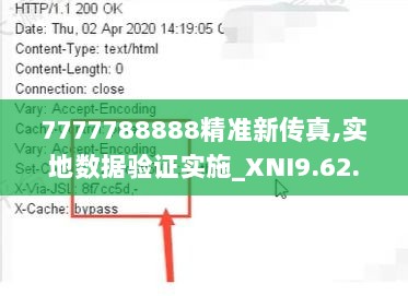 7777788888精准新传真,实地数据验证实施_XNI9.62.58见证版