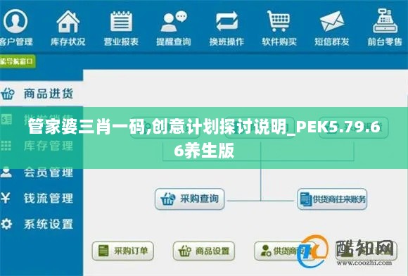 管家婆三肖一码,创意计划探讨说明_PEK5.79.66养生版