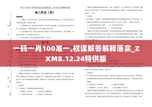 一码一肖100准一,权谋解答解释落实_ZXM8.12.24特供版